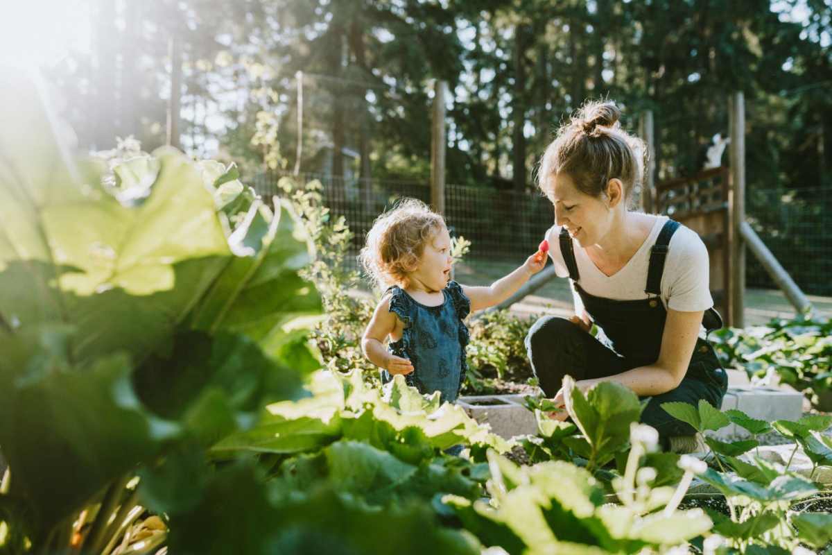 home garden write for us 