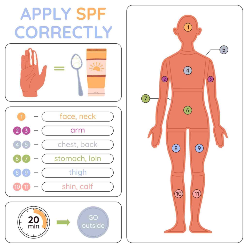 how to apply lotus sunscreen properly