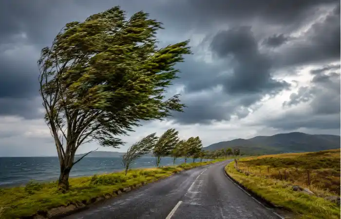 what Is windy weather_
